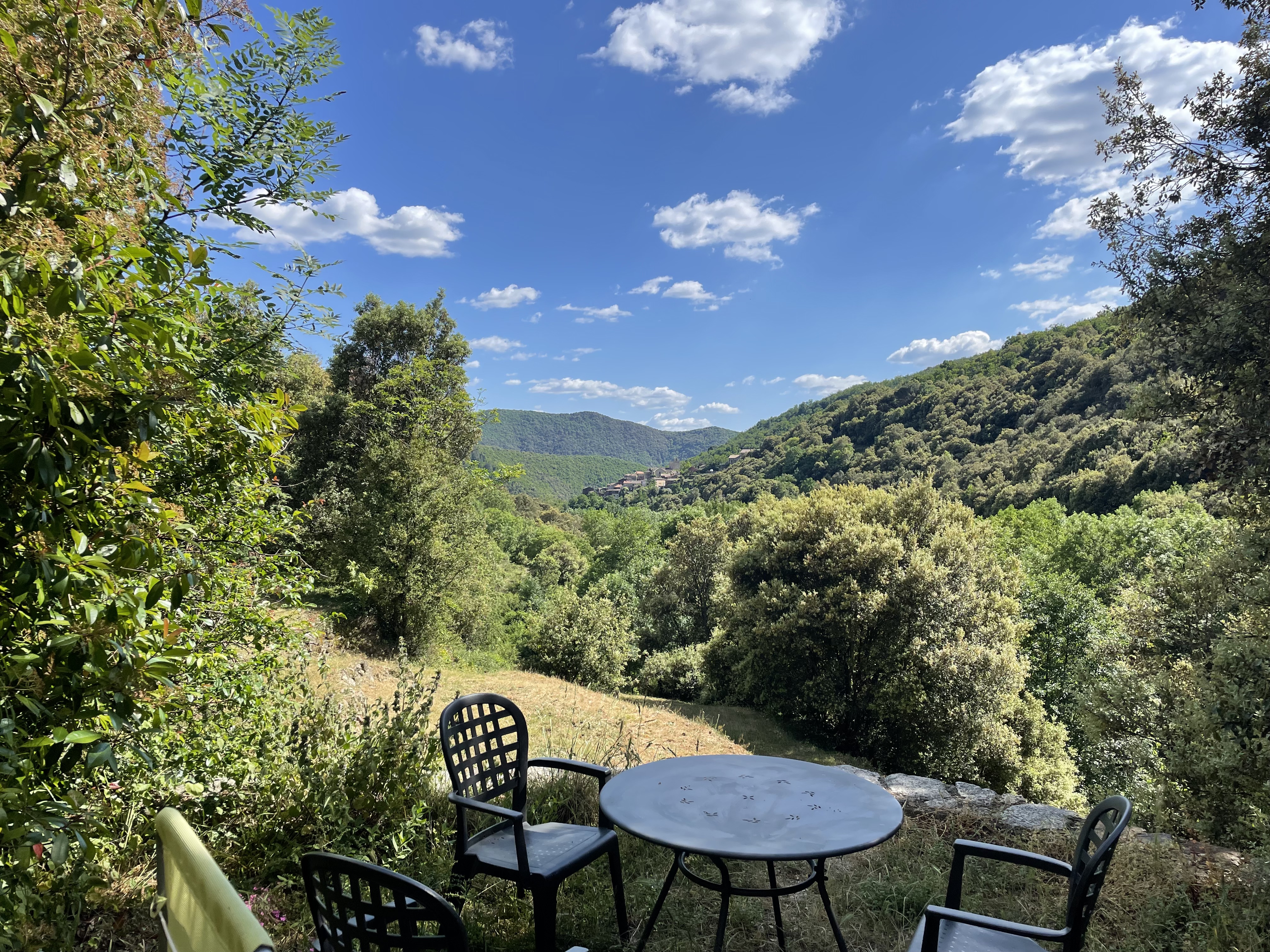 Location chambres d'htes en Cvennes - vue de la salle de sjour