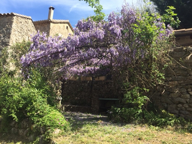 Location chambres d'htes en Cvennes - vue de la salle de sjour